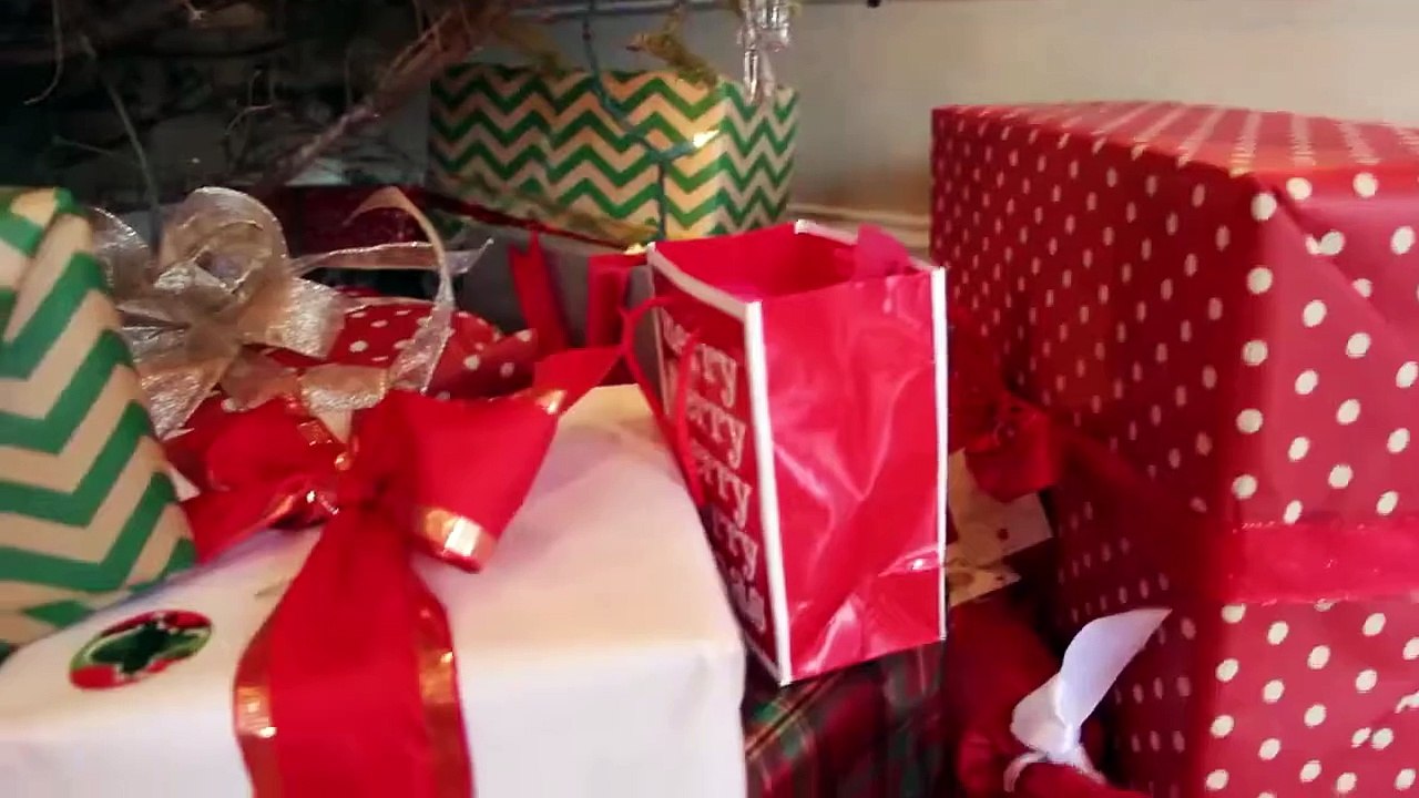 What We Got for Christmas 2015