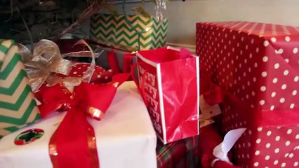 What We Got for Christmas 2015