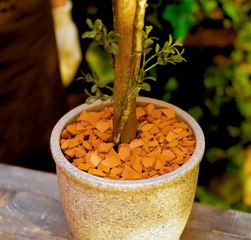 Le jardinage ORGANISÉ : Conseils NATUREL pour un jardin SAIN !