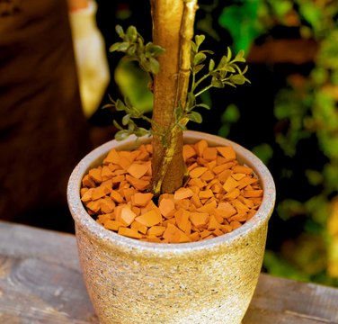 Le jardinage ORGANISÉ : Conseils NATUREL pour un jardin SAIN !