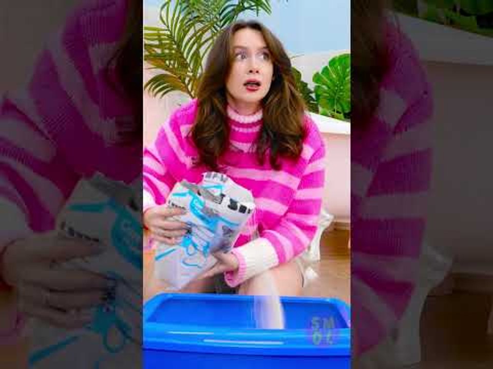 The Secret Emotion Every Cat Parent Knows But Can't Explain! 🤣 #funny