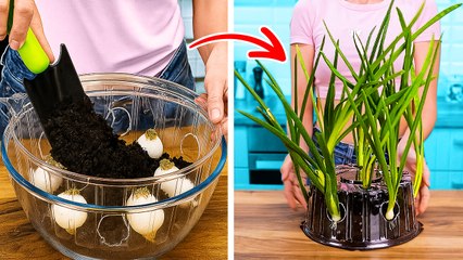 🌱 GENIUS GARDENING HACKS TO GROW FRUITS & VEGGIES AT HOME! 🍓🥕