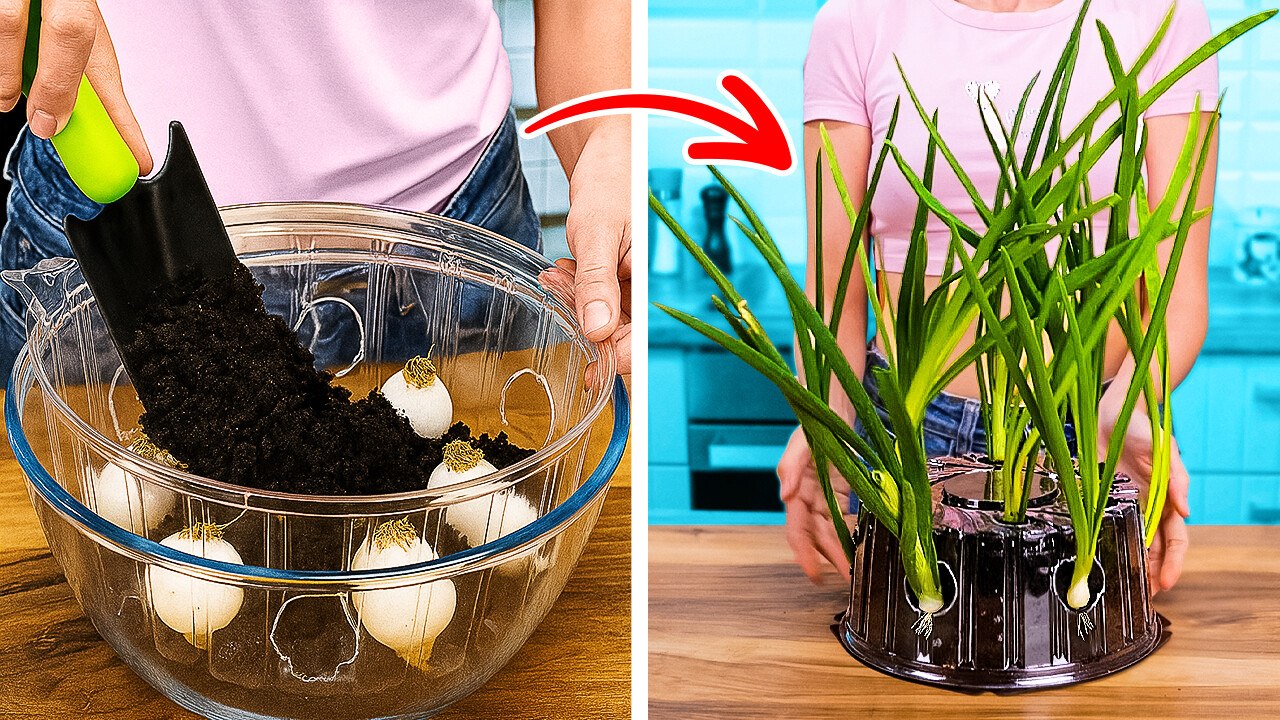 🌱 GENIUS GARDENING HACKS TO GROW FRUITS & VEGGIES AT HOME! 🍓🥕