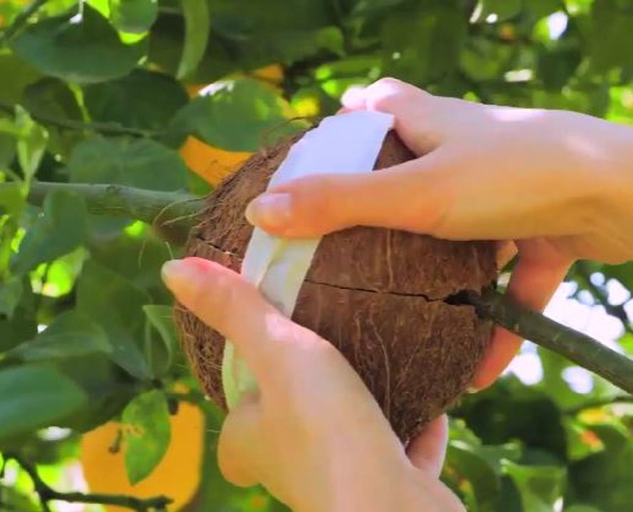 Clever Tree Growing Tricks