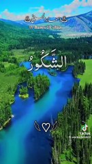 78d9f26da255f0adaecf9b35673be6df