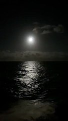 Night view