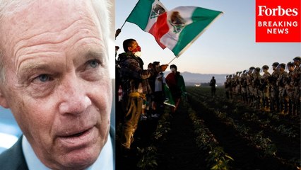 Air Force Vet Asks Ron Johnson Point Blank: 'What Are You Going To Do To Help Stop These ICE Raids?'