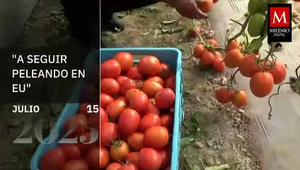 Milenio Noticias, con Carlos Zúñiga, 15 de julio de 2025