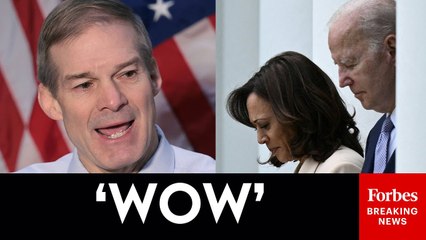 Jim Jordan Lays Out How The Biden-Harris Administration 'Used Your Money Against You'