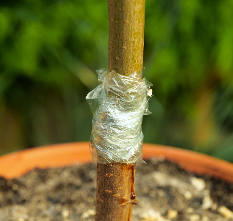 FAIT MAISON ASTUCES : Des idées astucieuses pour maximiser votre espace !