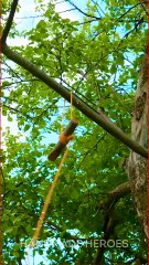 Survival Forest Hacks