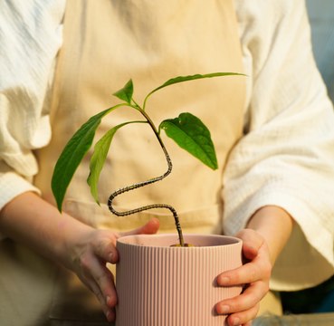 Secrets de jardin : Les ASTUCES de jardinage que vous devez connaître !