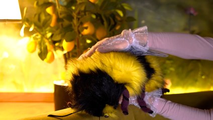 BRICOLAGE : des sacs et des porte-monnaie sur mesure !