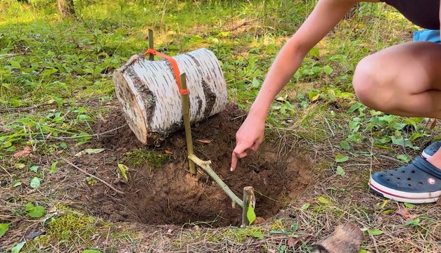 Into The Wild : Conseils essentiels pour tous les campeurs !