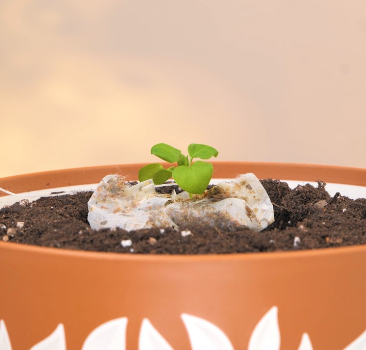 Les ASTUCES de jardinage que vous devez connaître pour un jardin plus sain !