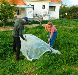 De la semence à la floraison : Le guide ultime du jardinage !