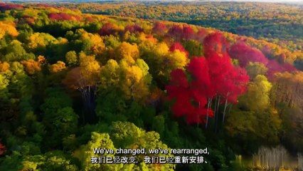 Where Did the Time Go - Reminiscing Cherished Memories