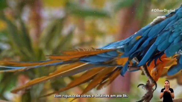 Clube Olhar Digital: assine o melhor jornalismo de tecnologia do Brasil!