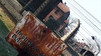 Auschwitz: La Verdadera Historia Detrás de La Fábrica de Muerte