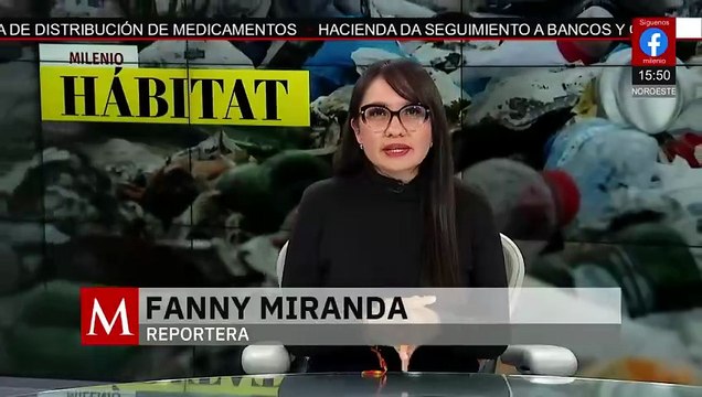 Entrenan binomios caninos para detectar gusano barrenador del ganado | Milenio Hábitat