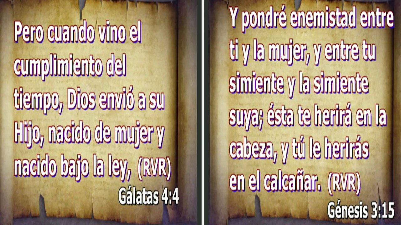 La Biblia y las profecías predictivas / Estudios de las profecías bíblicas