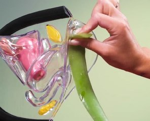 Personal Hygiene Tips for Sensitive Areas