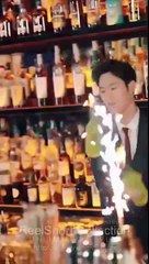 One Night Stand To Forever