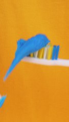 Wow, This Toothpaste Is Actually Candy! 🦷🍬 #Funny #Food #ASMR