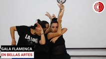 Gala Flamenca en el Palacio de Bellas Artes engrandece el “ser mexicano”