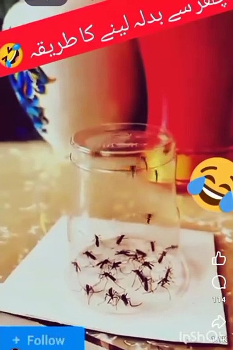 Jaga ji lagane ki Dunia nahi he