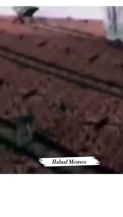 #fear
