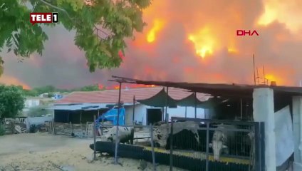 Tekirdağ'da yangın büyüdü, Çanakkale sınırını geçti
