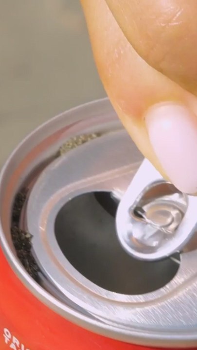 How to Catch Fish with a Coke Bottle! 🎣🥤 #ASMR #Fishing #LifeHacks