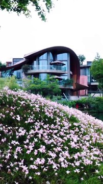 She was taken home by the president as a substitute, but she was completely heartbroken because of a word she said in bed. After she left, the president regretted it completely and went crazy looking for her