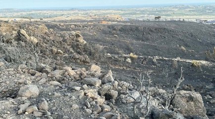 Çanakkale'de yangının verdiği güneş doğunca ortaya çıktı