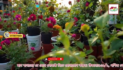 শিকড় প্রযুক্তিতে কিভাবে বাগান শুরু করবেন | Rooftop Gardening with Root Direction Technique