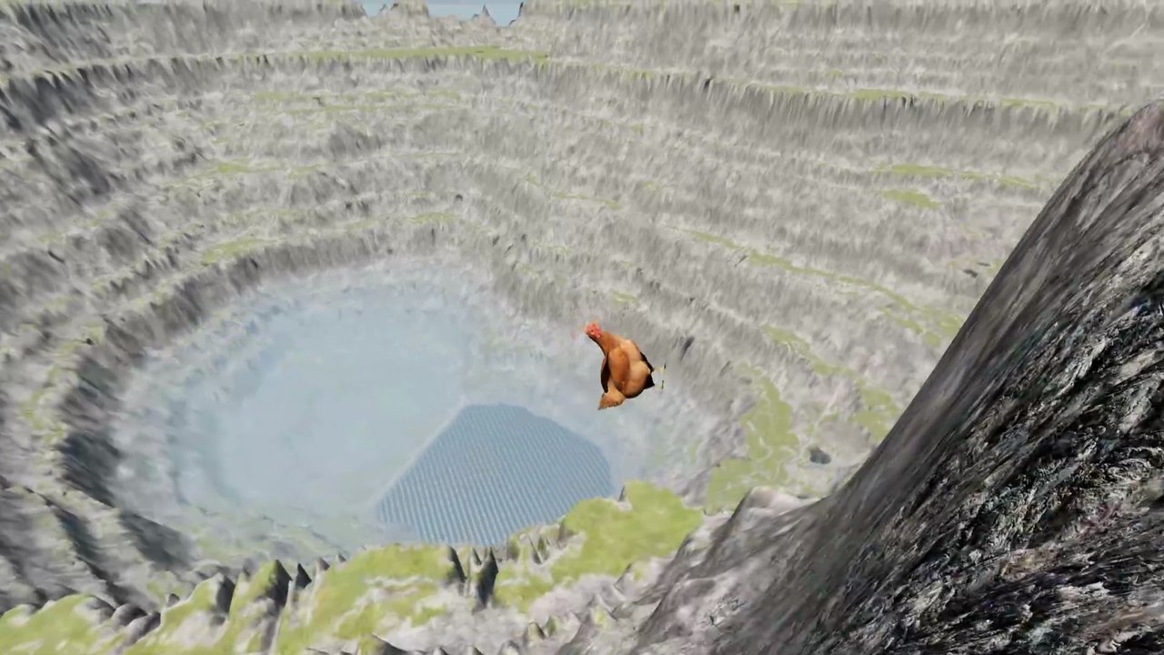 سقوط الدجاجة من قمة الجبل 😳