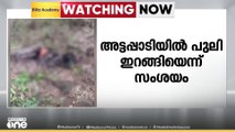 കാണാതായ വളർത്തുനായ ചത്തനിലയിൽ: അട്ടപ്പാടിയിൽ പുലിയെന്ന് സംശയം