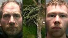 "Robin Hood"-Baum gefällt: Haftstrafen für zwei Männer