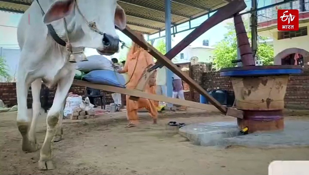 कुरुक्षेत्र की उषा रानी ने 450 रुपए से शुरू किया कारोबार, अब विदेश तक फैला लाखों रुपए का व्यापार, कोल्हू के तेल से बना रही यूनिक अचार