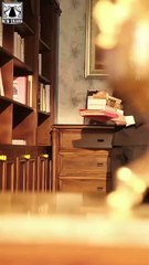 Warp and Weft of Treachery Dramabox - Full Movie