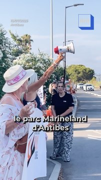 Un sanctuaire et absolument rien d'autre ! : One Voice manifeste devant l'ex-Marineland pour ...