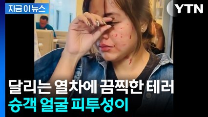 달리는 열차에 돌을 냅다...가해자 추적 [지금이뉴스]  / YTN