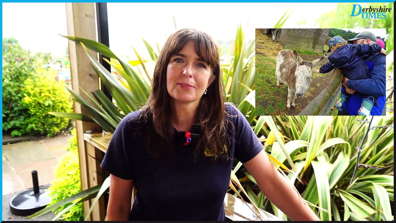 Matlock Farm Park Summer Fun: Family Day Out Adventure!