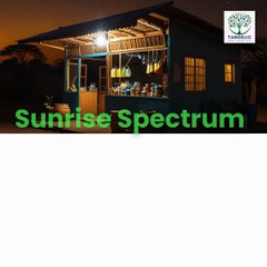 Featured Project: Sunrise Spectrum 🌅 #SunriseSpectrum #SEEDConf2025