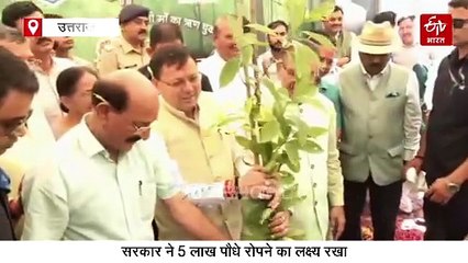उत्तराखंड में लोकपर्व हरेला की धूम, सीएम धामी ने लगाया रुद्राक्ष का पौधा, 5 लाख पौध रोपण का लक्ष्य