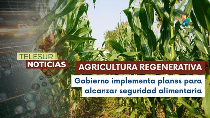 Estrategias de agricultura regenerativa ante la sequía en el norte de México