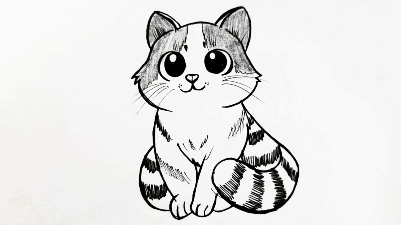 How to draw a cute cat 🐈 easy step-by-step - Cat drawing