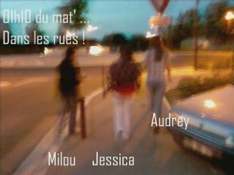 fêtes superbes avec des gens comme milou