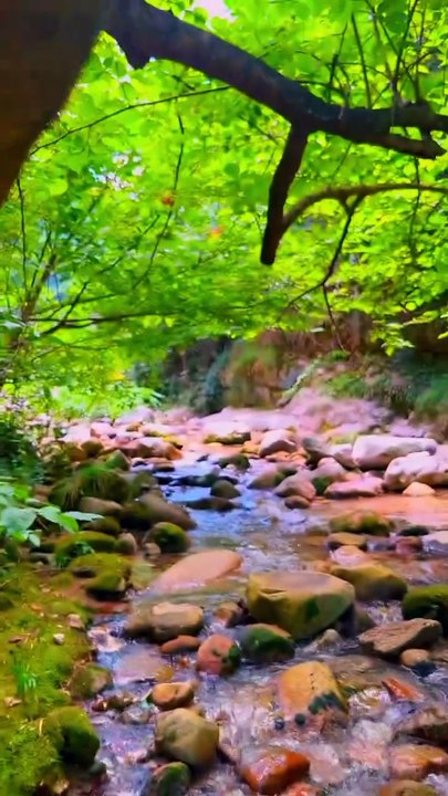Relaxing Water Flowing | Nature Video